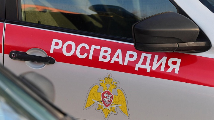 В ДНР арестовали мужчину по подозрению в краже из магазина